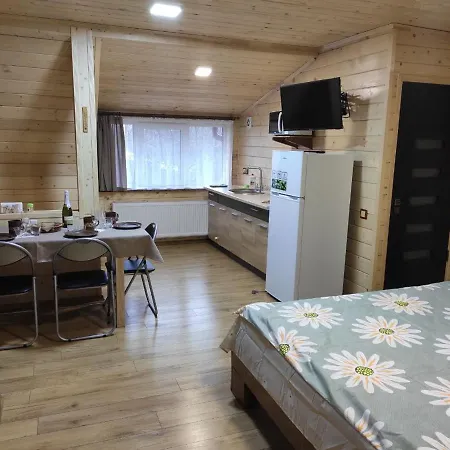 нота карпат 3* Сколе