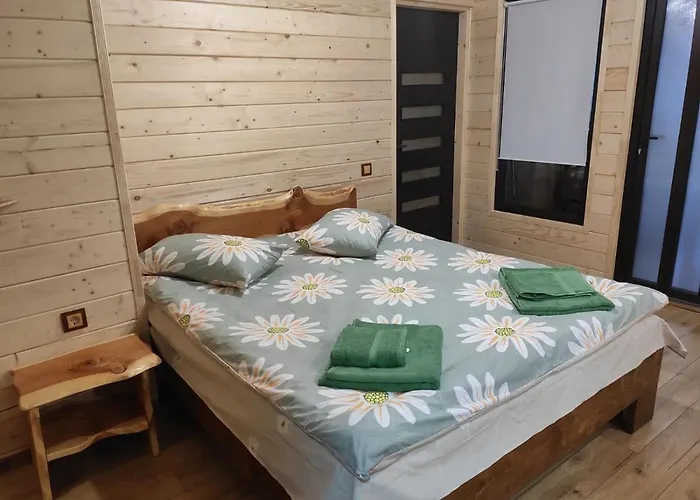 нота карпат 3* Skole