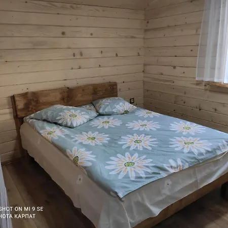 нота карпат 3* Skole