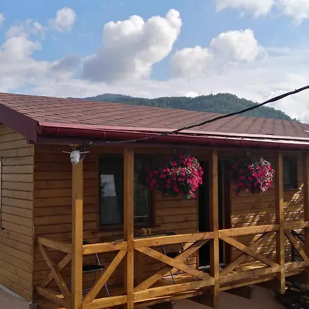 нота карпат 3* Skole