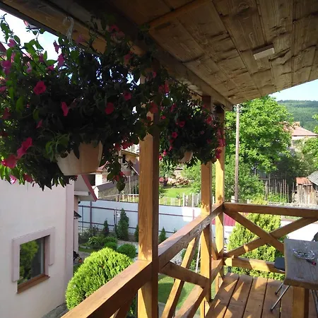 нота карпат Skole