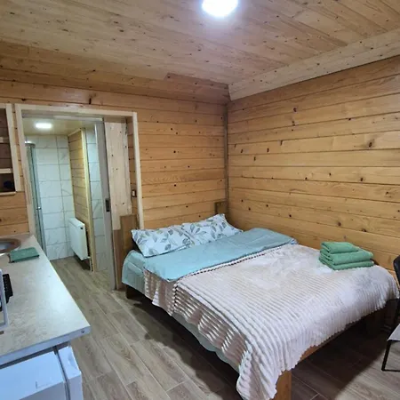 нота карпат Skole